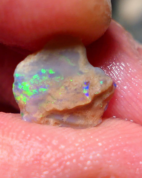 Lightning Ridge Rough Opal 1.45cts Small Crystal knobby formation showing some bright multicolour 11x10x2.5mm 1409