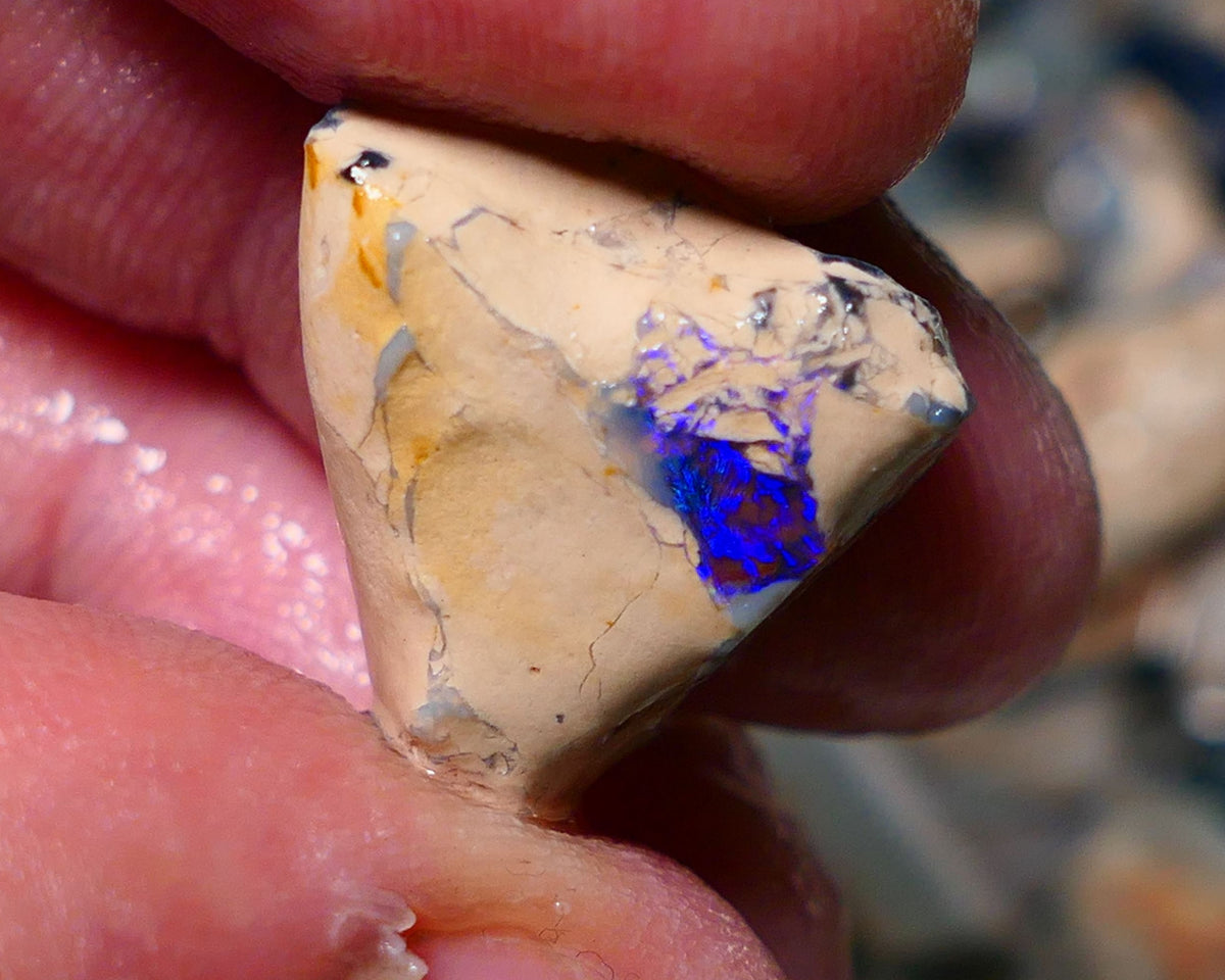 Lightning Ridge Rough Opal 14.75cts Formation showing Very gorgeous Blues on black 19x18x12mm 1337