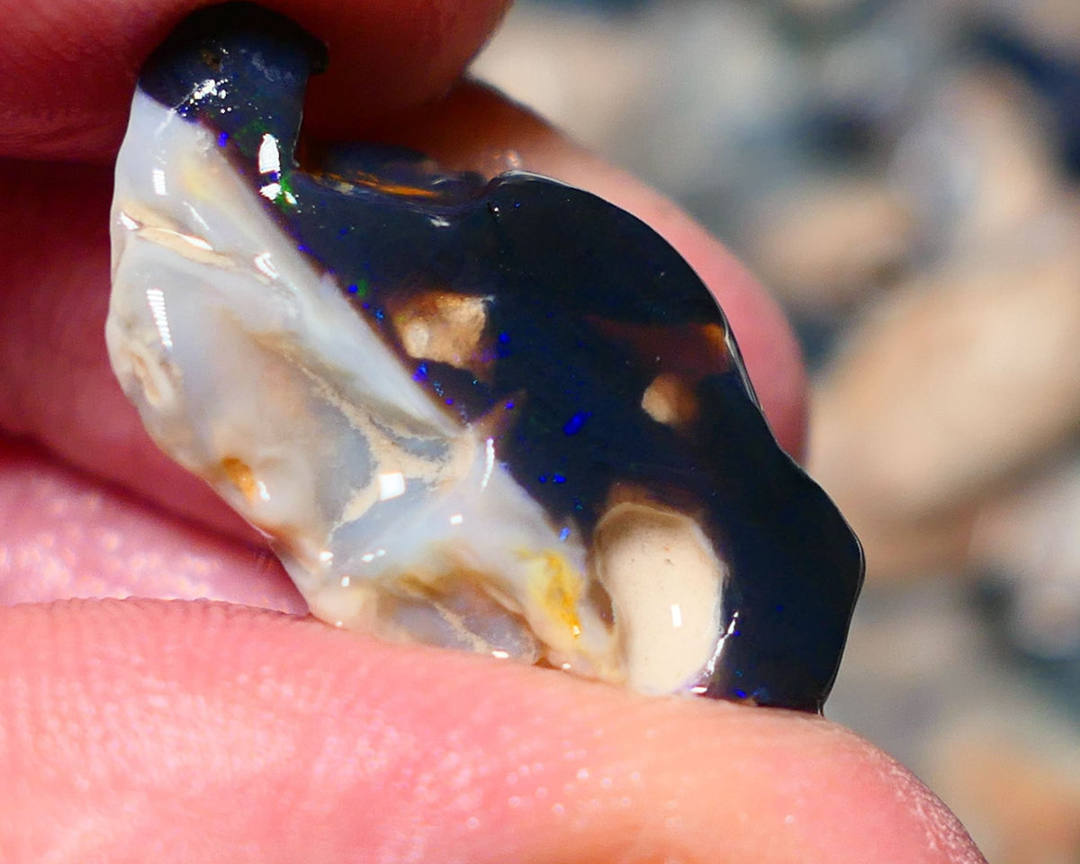 Lightning Ridge Rough Opal 19cts Black base Seam showing Green and blue fires 28x17x11mm 1338