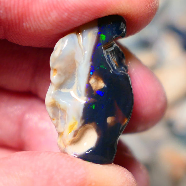 Lightning Ridge Rough Opal 19cts Black base Seam showing Green and blue fires 28x17x11mm 1338