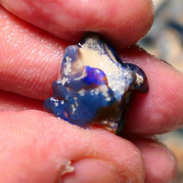 Lightning Ridge Rough Opal 8.50cts Black knobby formation showing some nice Blues 20x18x11mm 1343