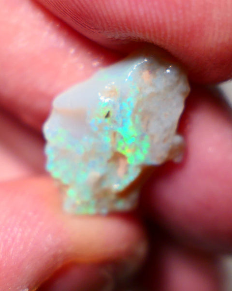 Lightning Ridge Rough Opal 5.25cts Dark base Seam showing bright Green blues Teal colours  20x13x4mm A1528