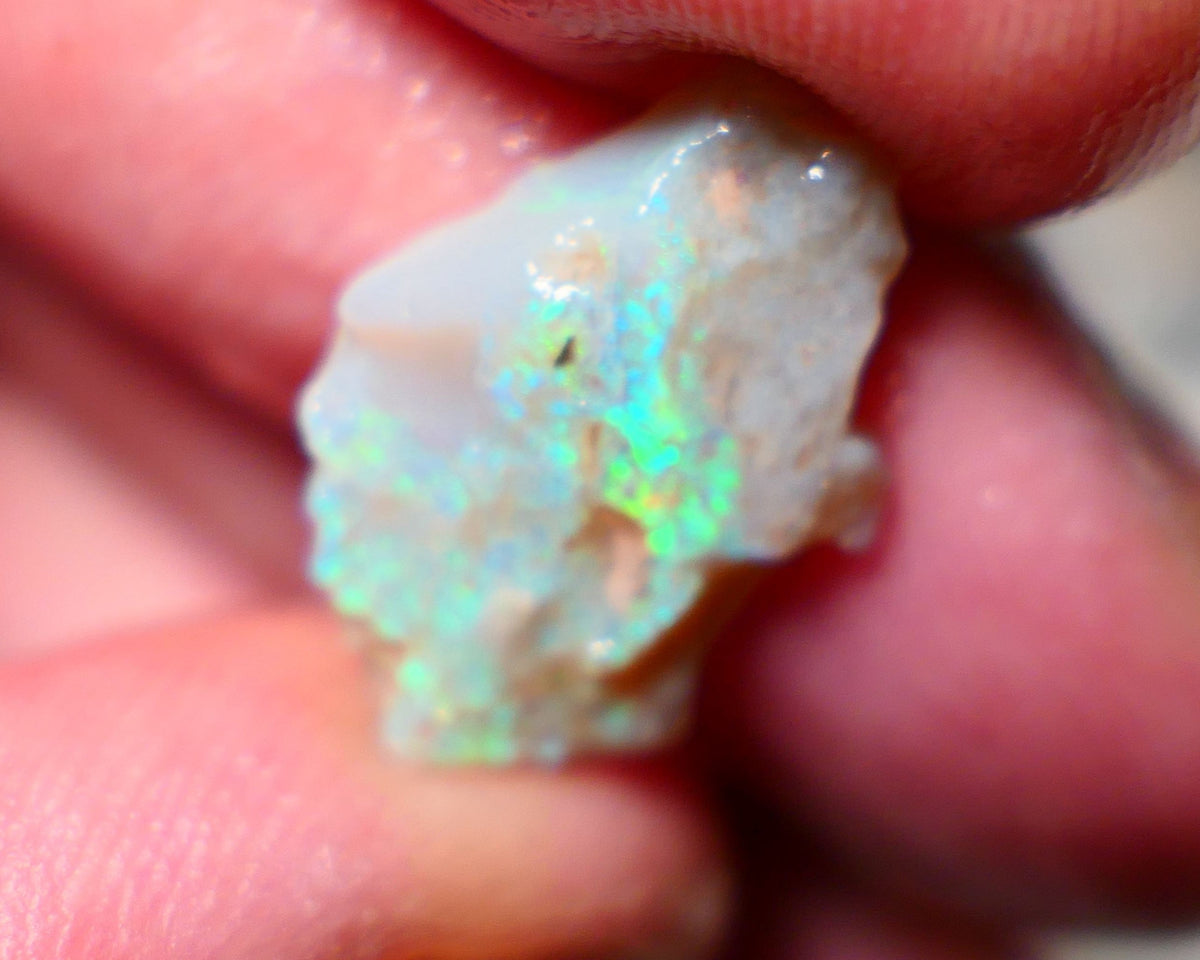 Lightning Ridge Rough Opal 5.25cts Dark base Seam showing bright Green blues Teal colours  20x13x4mm A1528