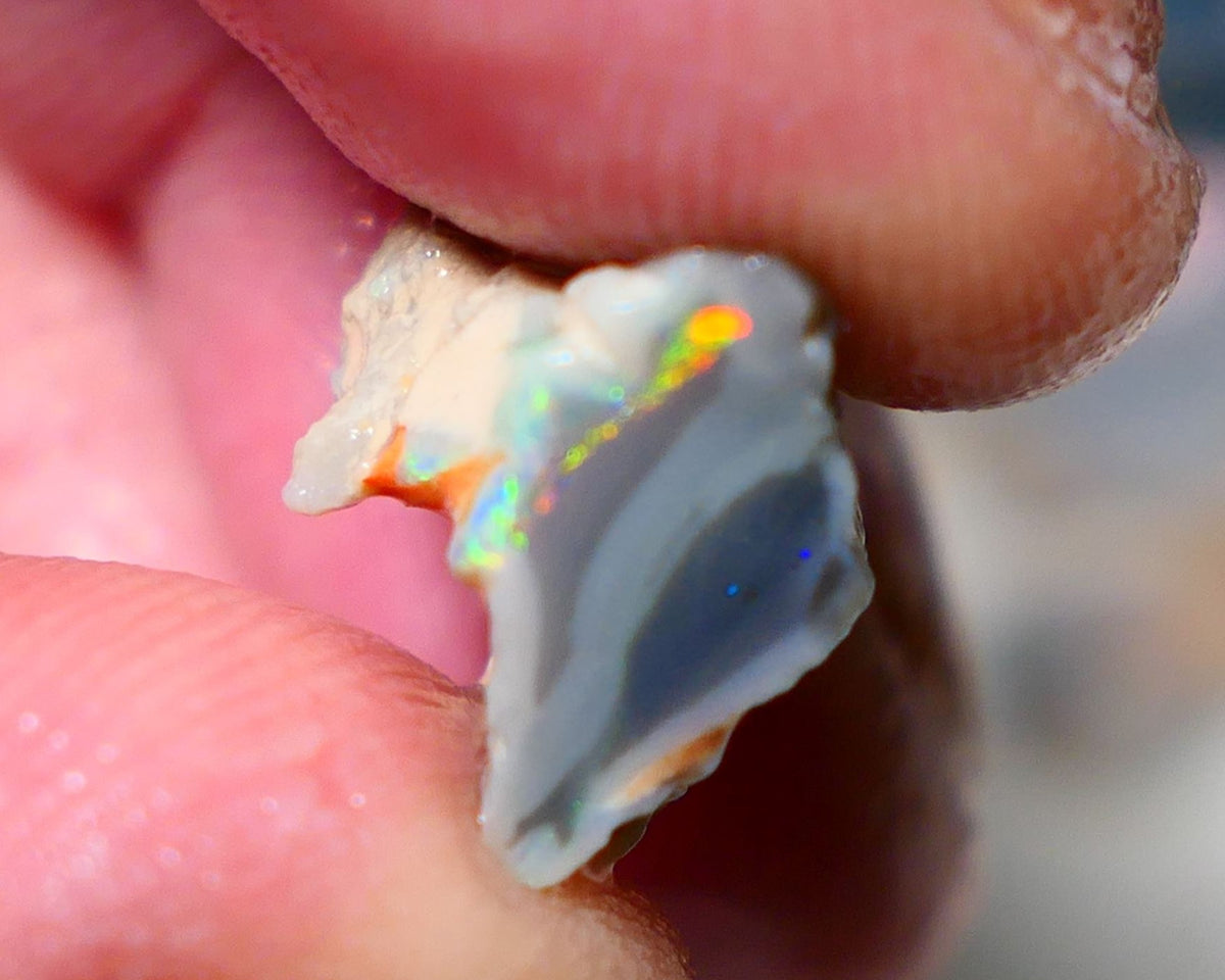 Lightning Ridge Rough Opal 7.75cts Dark Base Gamble Knobby Gorgeous Bright Orange/Gold/Yellow dominant M.Fires 14x12x10mm NS141