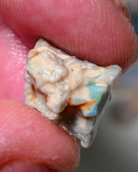 Lightning Ridge Rough Opal 7.75cts Dark Base Gamble Knobby Gorgeous Bright Orange/Gold/Yellow dominant M.Fires 14x12x10mm NS141