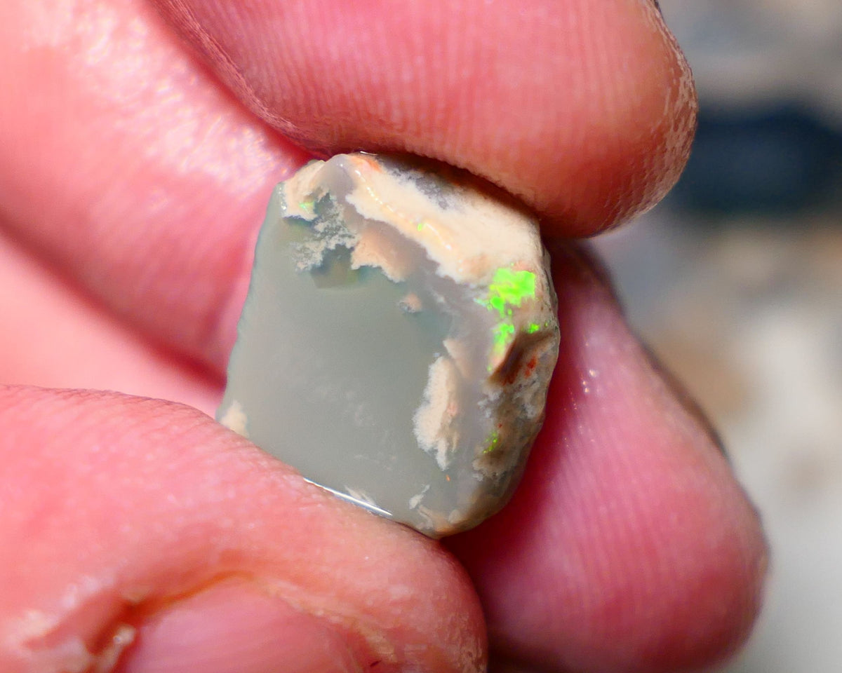 Lightning Ridge Rough rub Opal 8.50cts Grey base Seam opal with Bright colourful bar/face Super bright neon greens 15x12x7mm A1527