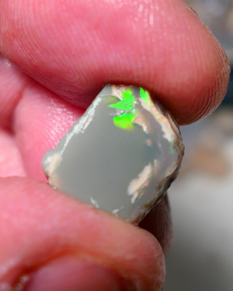 Lightning Ridge Rough rub Opal 8.50cts Grey base Seam opal with Bright colourful bar/face Super bright neon greens 15x12x7mm A1527