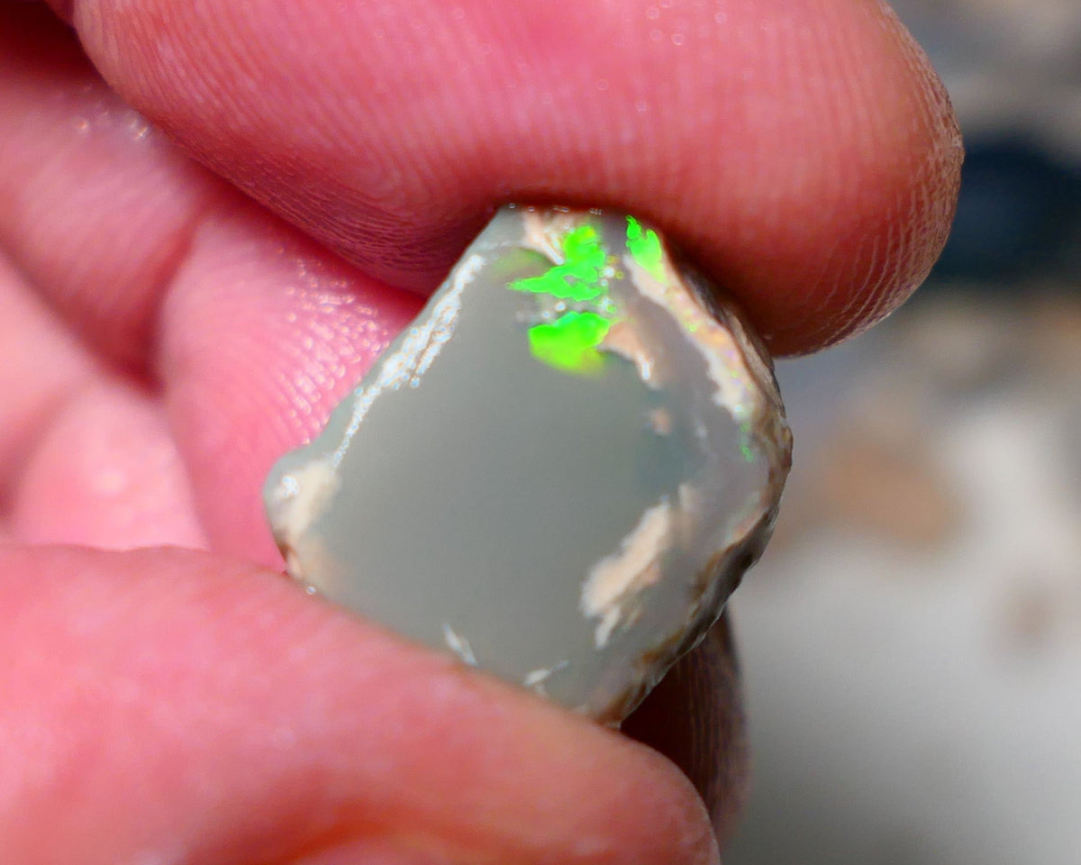 Lightning Ridge Rough rub Opal 8.50cts Grey base Seam opal with Bright colourful bar/face Super bright neon greens 15x12x7mm A1527