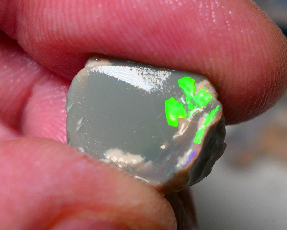 Lightning Ridge Rough rub Opal 8.50cts Grey base Seam opal with Bright colourful bar/face Super bright neon greens 15x12x7mm A1527