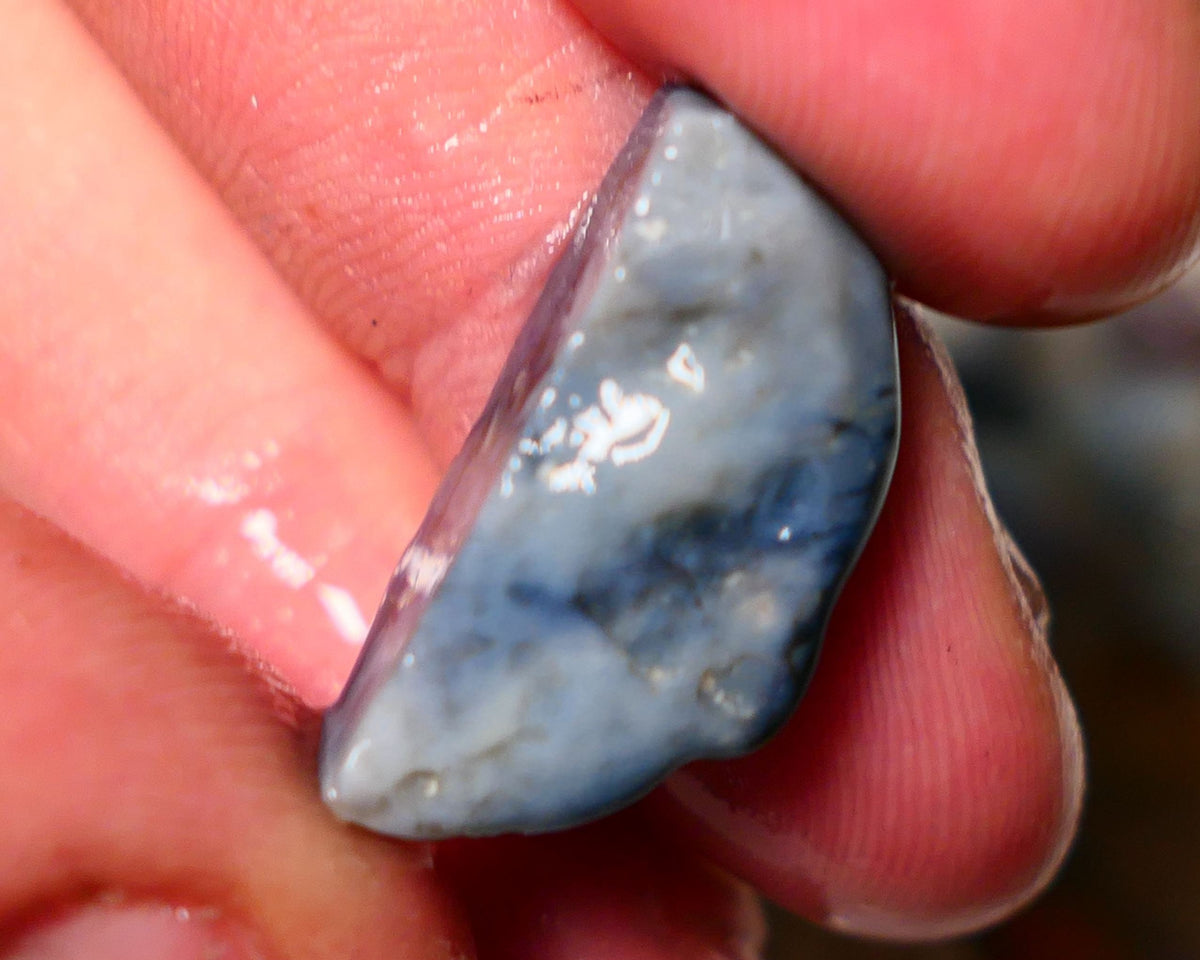 Lightning Ridge Rough Opal 12cts Dark  Half Knobby showing some Bright Yellow Blue Green 24x12x7mm A1515