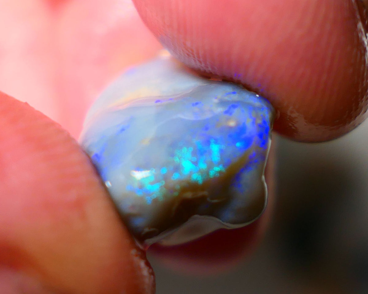 Lightning Ridge Knobby Opal Rough 11.50cts showing nice Bright blues & Greens 16x12x11mm A1508