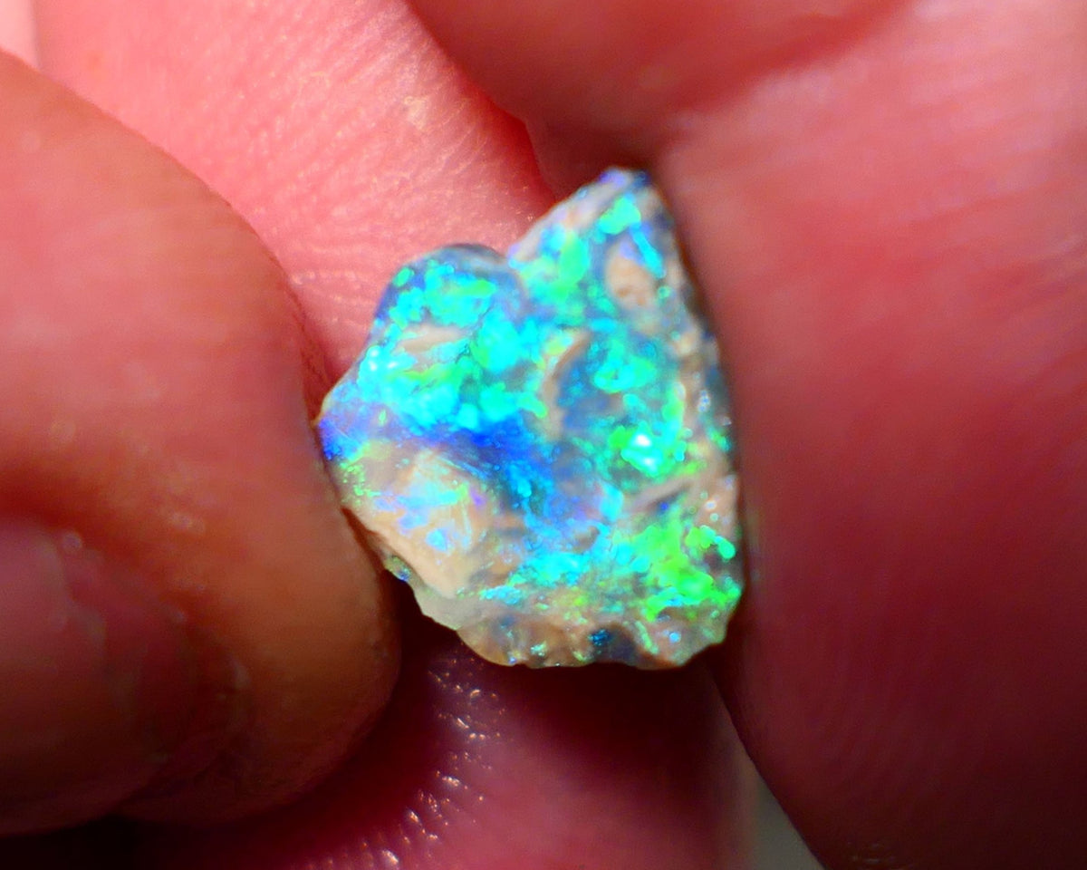 Lightning Ridge Opal Crystal base rub/rough 2cts showing Electric Vibrant & vivid super bright Green/Blue fires 12x10x3mm A1507