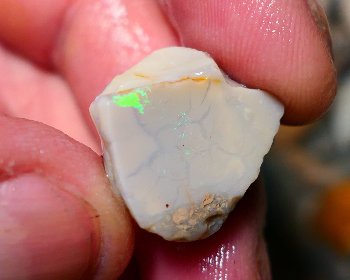 Lightning Ridge Opal Grey/Light base rub 22cts showing some Bright Green fires 20x18x10mm A1503