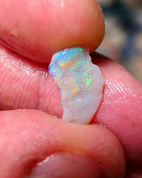 Lightning Ridge Untouched small Seam Opal Rough 1.3cts showing nice multicolours 14x9x2mm A1504