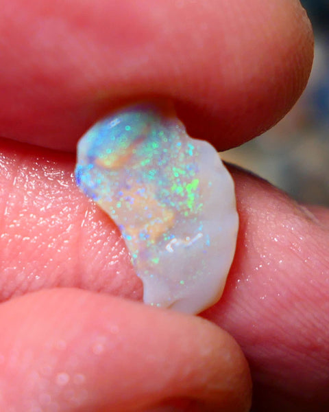 Lightning Ridge Untouched small Seam Opal Rough 1.3cts showing nice multicolours 14x9x2mm A1504