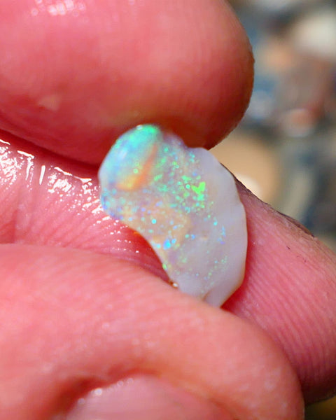 Lightning Ridge Untouched small Seam Opal Rough 1.3cts showing nice multicolours 14x9x2mm A1504