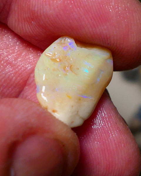 Lightning Ridge Seam Opal Rough 7.50cts showing nice exposed blues 17x13x5mm A1502