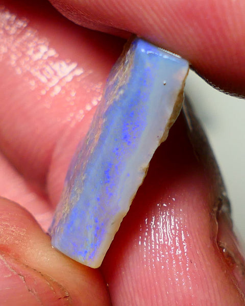 Lightning Ridge Rough Opal 8cts Dark base Seam showing some bright blues colours 21x9x5mm A1526