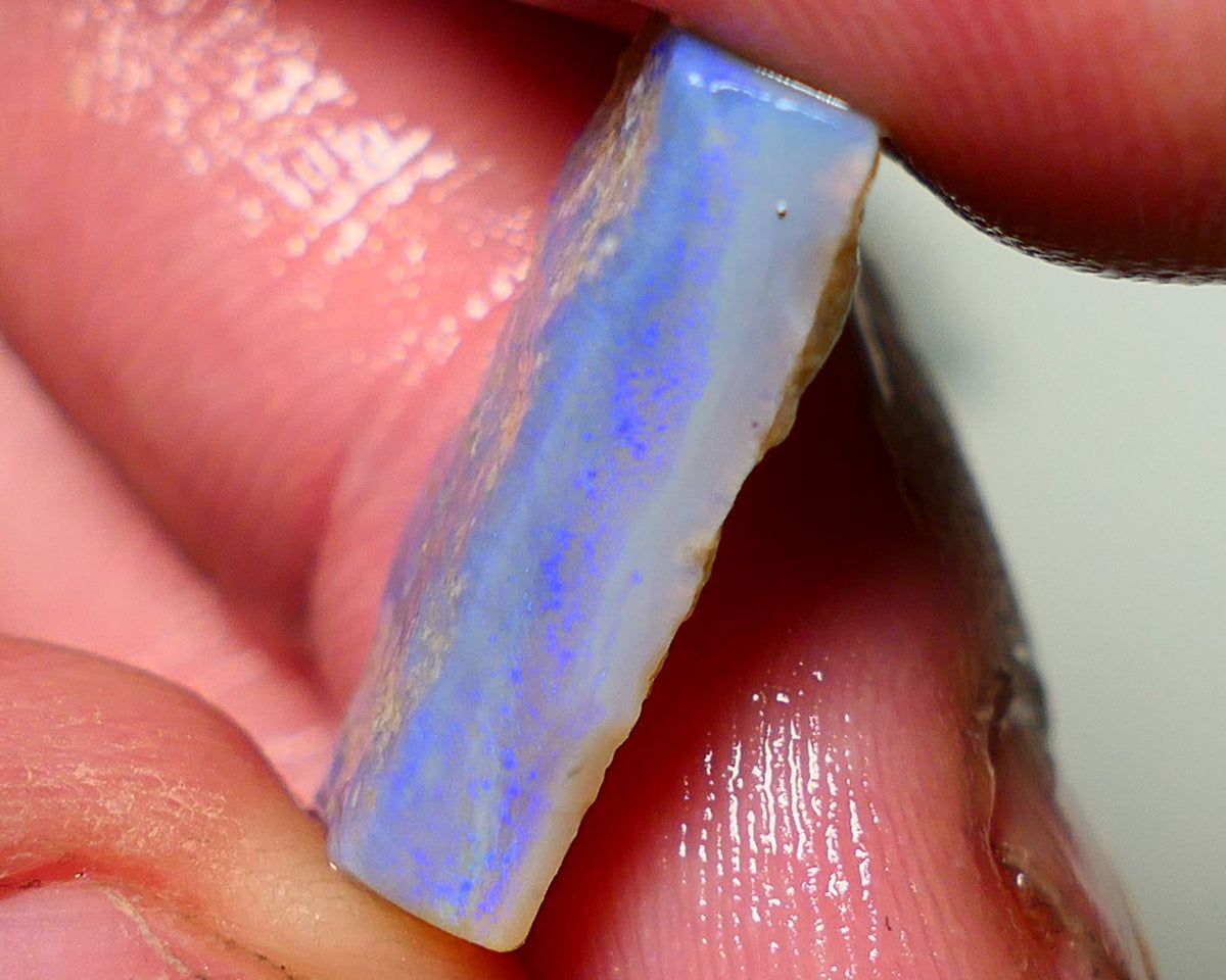 Lightning Ridge Rough Opal 8cts Dark base Seam showing some bright blues colours 21x9x5mm A1526