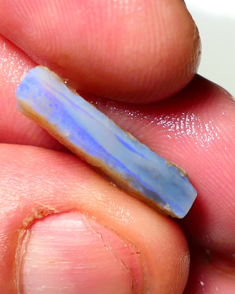 Lightning Ridge Rough Opal 8cts Dark base Seam showing some bright blues colours 21x9x5mm A1526