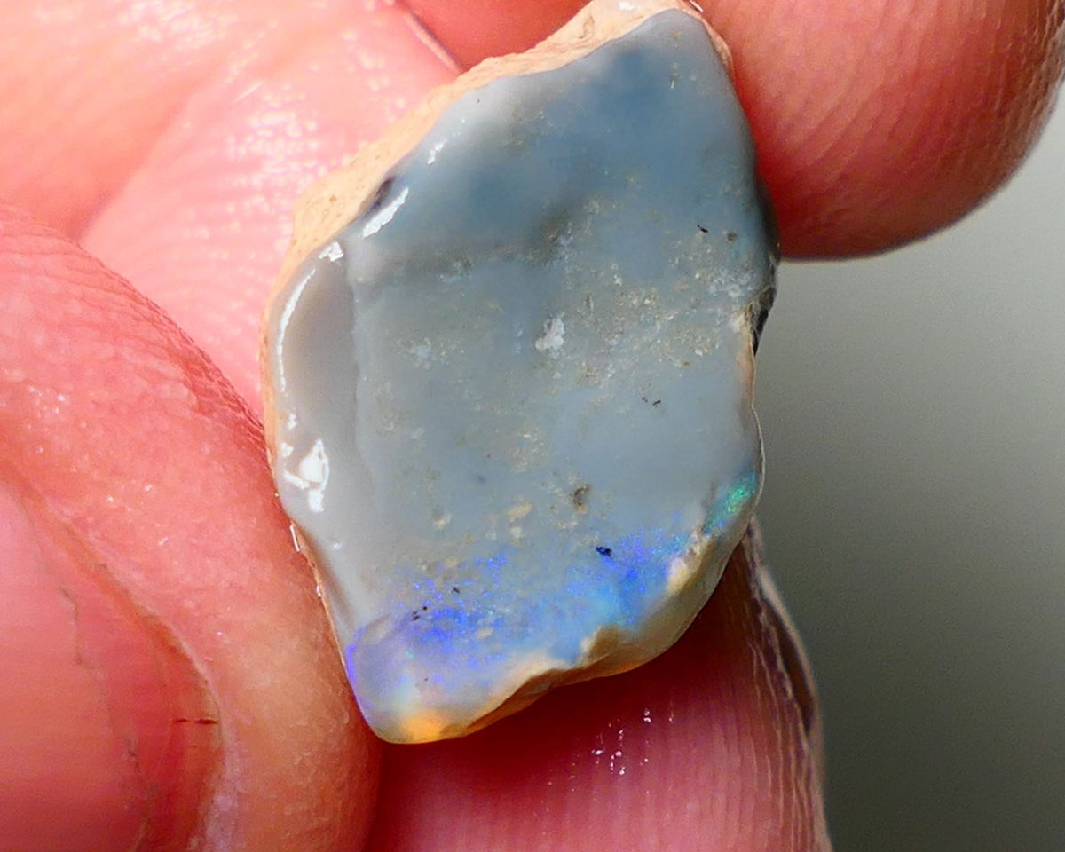 Lightning Ridge Rough Opal 7.70cts Untouched Dark Base Seam showing some some blues colours 18x12x9mm A1533