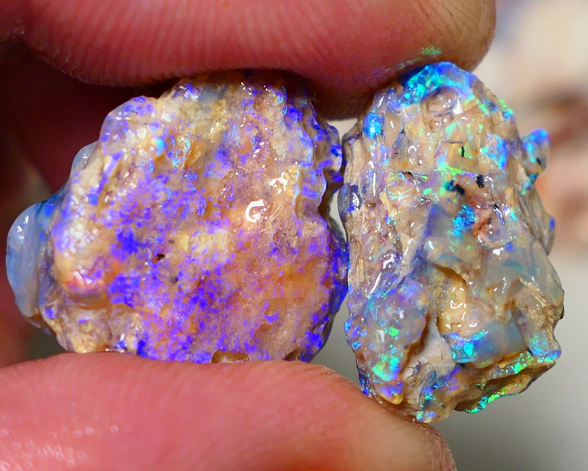 Lightning Ridge 26cts Very Bright pair of gorgeous Dark base Crystal Opalised fossil rough to cut/carve Vibrant Blue/purple/green 18x18x11mm & 2x12x9mm A1529