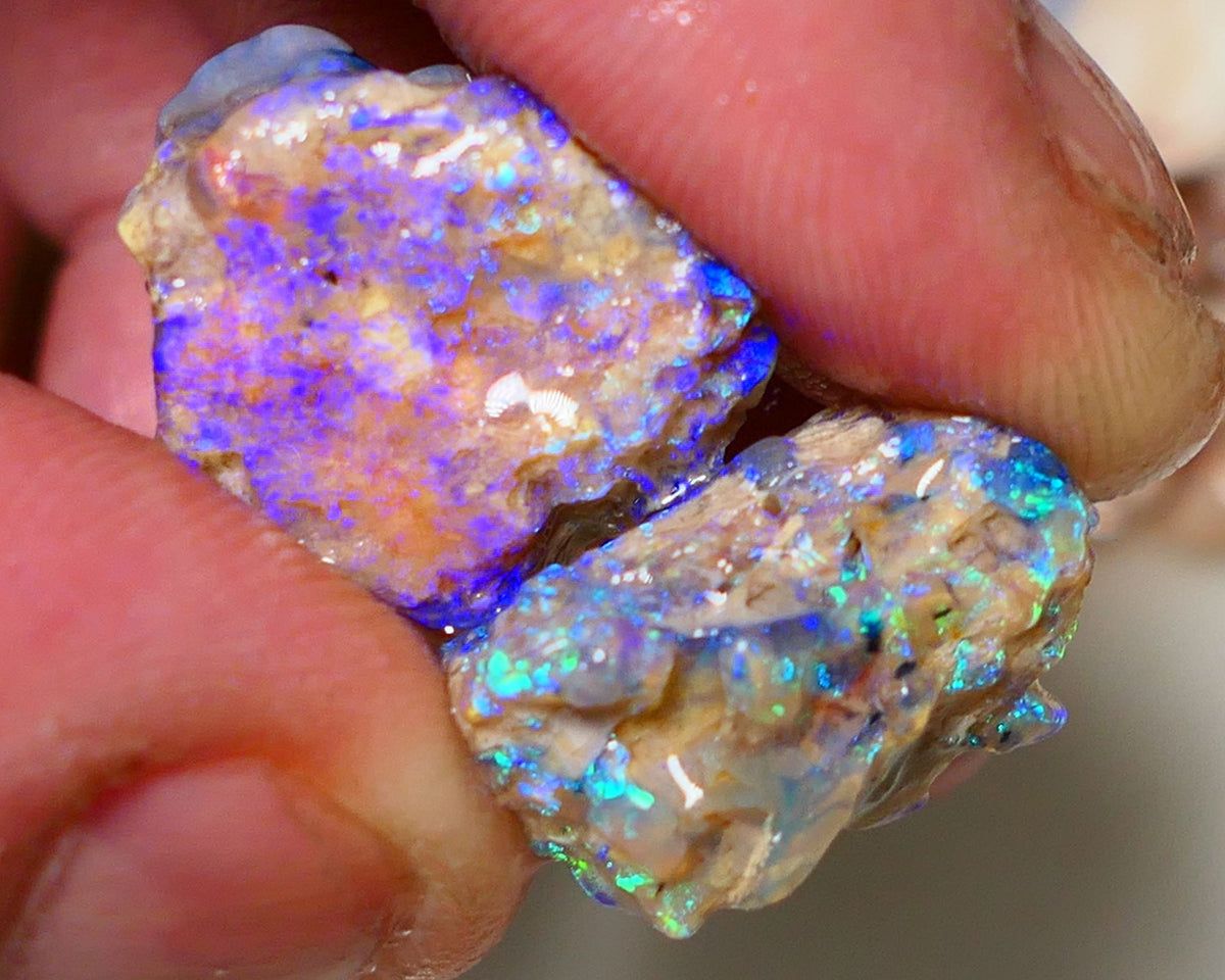 Lightning Ridge 26cts Very Bright pair of gorgeous Dark base Crystal Opalised fossil rough to cut/carve Vibrant Blue/purple/green 18x18x11mm & 2x12x9mm A1529