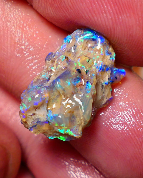 Lightning Ridge 26cts Very Bright pair of gorgeous Dark base Crystal Opalised fossil rough to cut/carve Vibrant Blue/purple/green 18x18x11mm & 2x12x9mm A1529