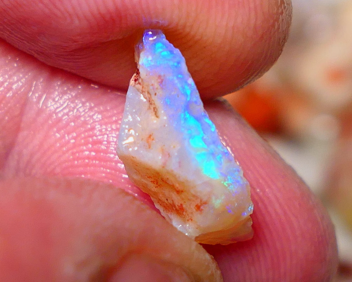 Coober Pedy Rough Opal 4.50cts Crystal Seam showing nice Bright  colours 16x9x6mm A1531