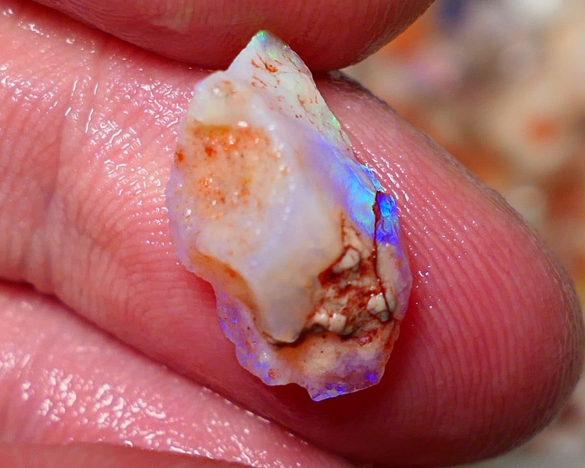 Coober Pedy Rough Opal 4.50cts Crystal Seam showing nice Bright  colours 16x9x6mm A1531