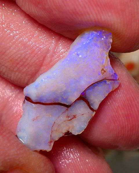 Coober Pedy Rough Opal 8.20cts Crystal Seam showing nice Bright  colours 29x14x5mm A1522