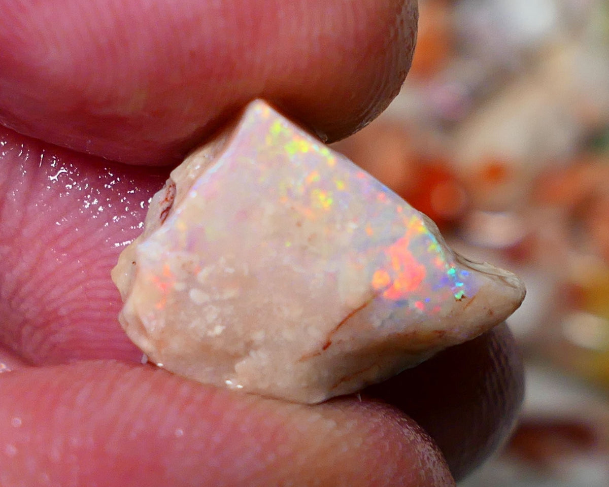 Coober Pedy Rough Rub Opal 8cts White/Light Seam showing Orange/Gold dominant multi colours 15x12x7mm NS021