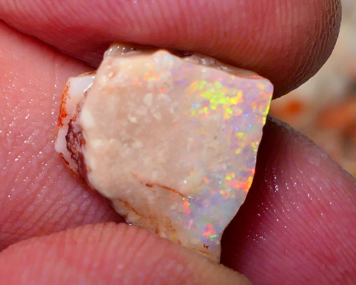 Coober Pedy Rough Rub Opal 8cts White/Light Seam showing Orange/Gold dominant multi colours 15x12x7mm NS021