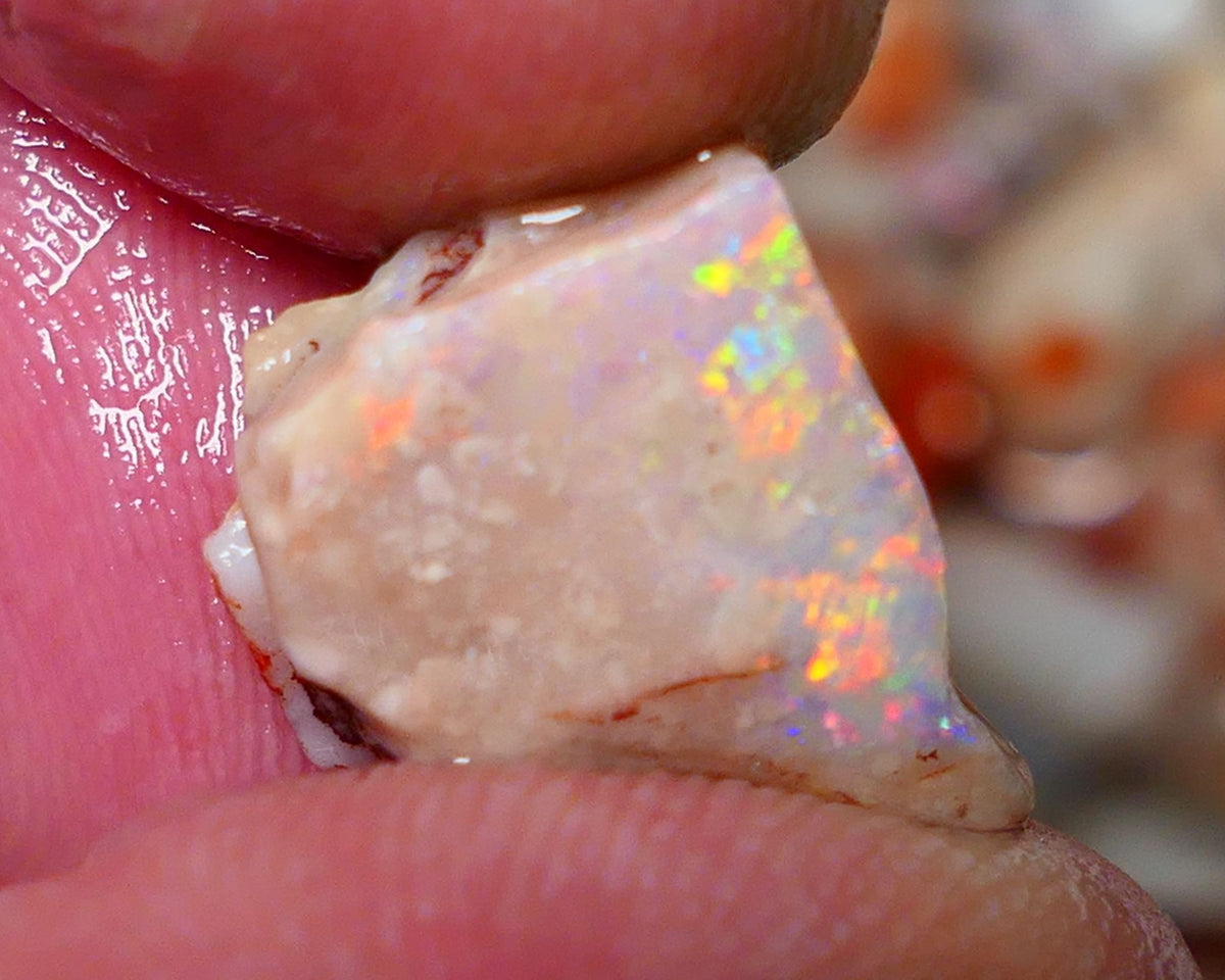 Coober Pedy Rough Rub Opal 8cts White/Light Seam showing Orange/Gold dominant multi colours 15x12x7mm NS021