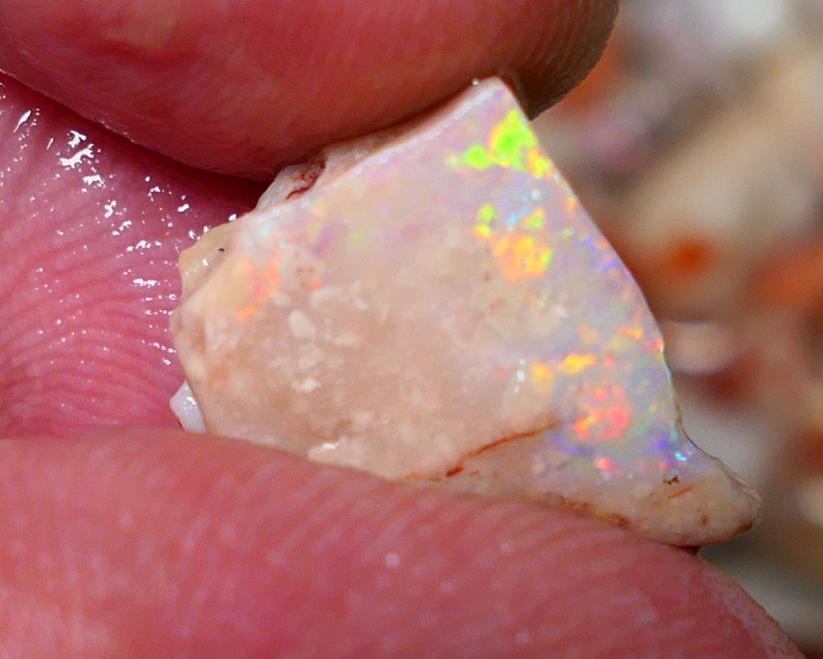 Coober Pedy Rough Rub Opal 8cts White/Light Seam showing Orange/Gold dominant multi colours 15x12x7mm NS021