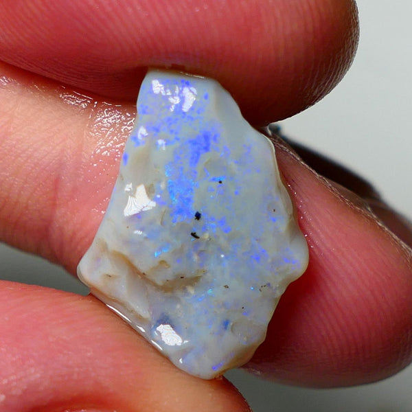 Lightning Ridge Rough Opal 8.25cts Dark Base Seam showing Nice bright blues colours 19X14X5MM a1541