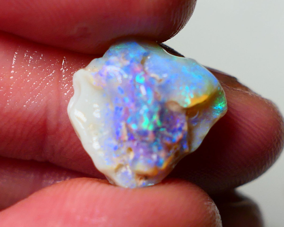 Lightning Ridge Rough Opal 5.75cts Dark Base Crystal Knobby showing Nice bright colours 14x12x7mm A1542