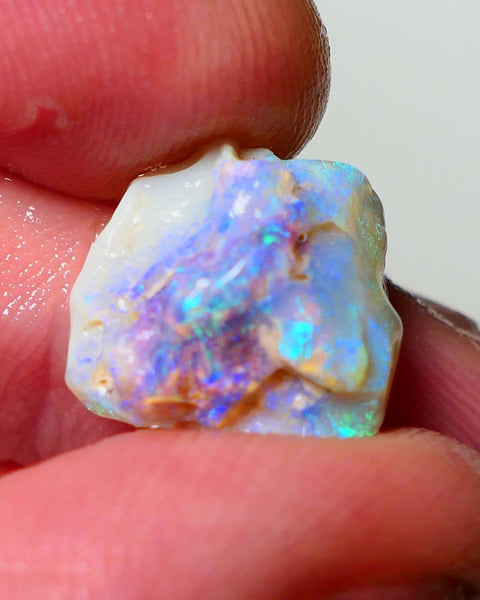 Lightning Ridge Rough Opal 5.75cts Dark Base Crystal Knobby showing Nice bright colours 14x12x7mm A1542