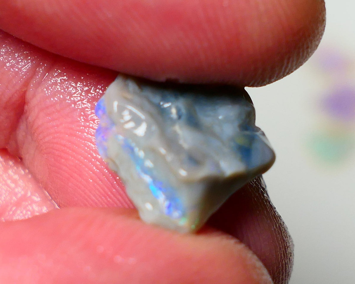 Lightning Ridge Rough Opal 4.50cts Dark Base Knobby showing Nice bright Blue/Green colours 14x13x5mm A1546