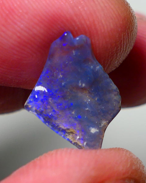 Lightning Ridge Rough Opal 1.40cts Thin Dark Base Seam showing Nice bright blues colours 13x12x2mm A1544