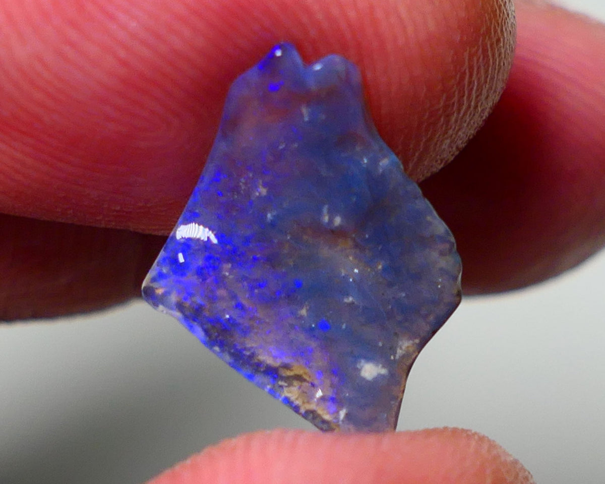 Lightning Ridge Rough Opal 1.40cts Thin Dark Base Seam showing Nice bright blues colours 13x12x2mm A1544