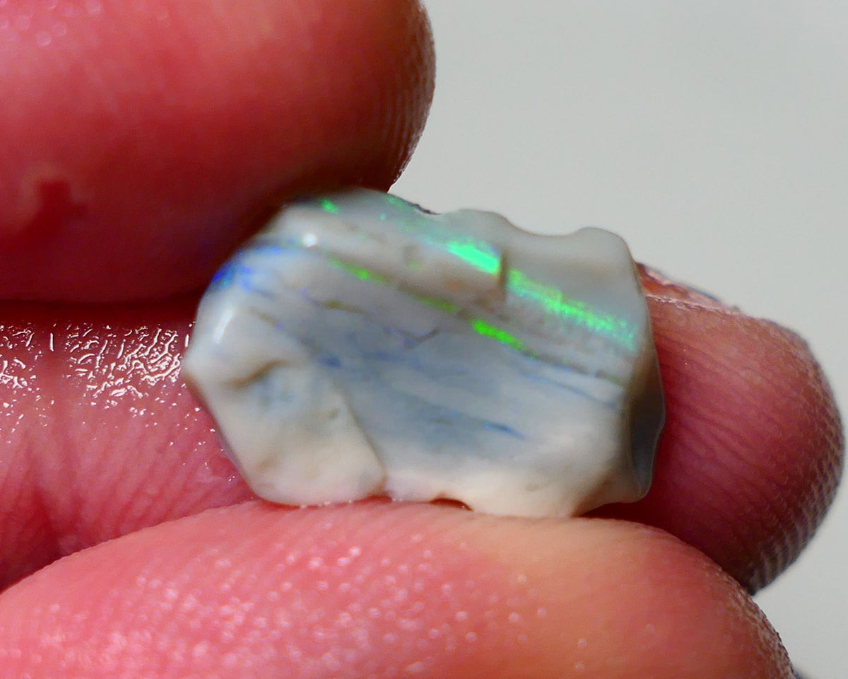 Lightning Ridge Rough Opal 3.25cts Dark Base Seam showing Stunning Banding Of Vibrant Electric Greens & some blues 15x9x3mm A1543