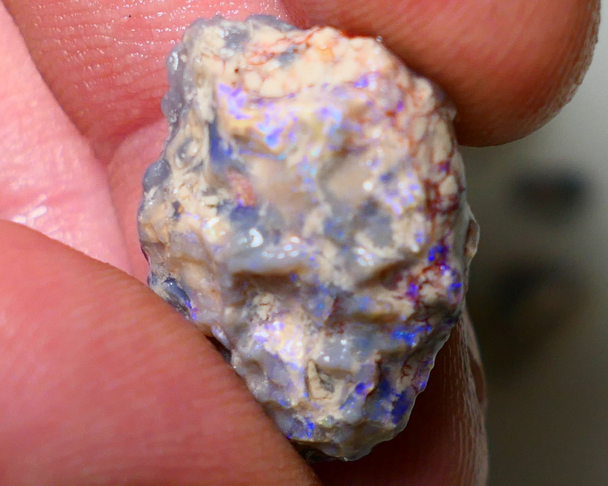 Lightning Ridge Rough Opal 13cts Dark Base Gamble Knobby Some nice blue fires 21x15x7mm Auction NS003