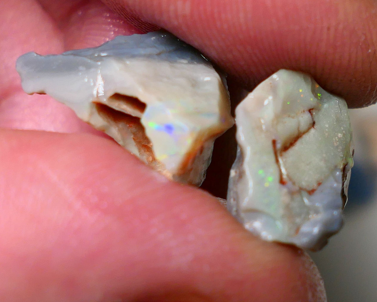 Lightning Ridge Rough Opal pair 14cts Gamble Dark Base Seam some Multifires showing 17x13x9mm & 17x15x5mm  Auction NS006