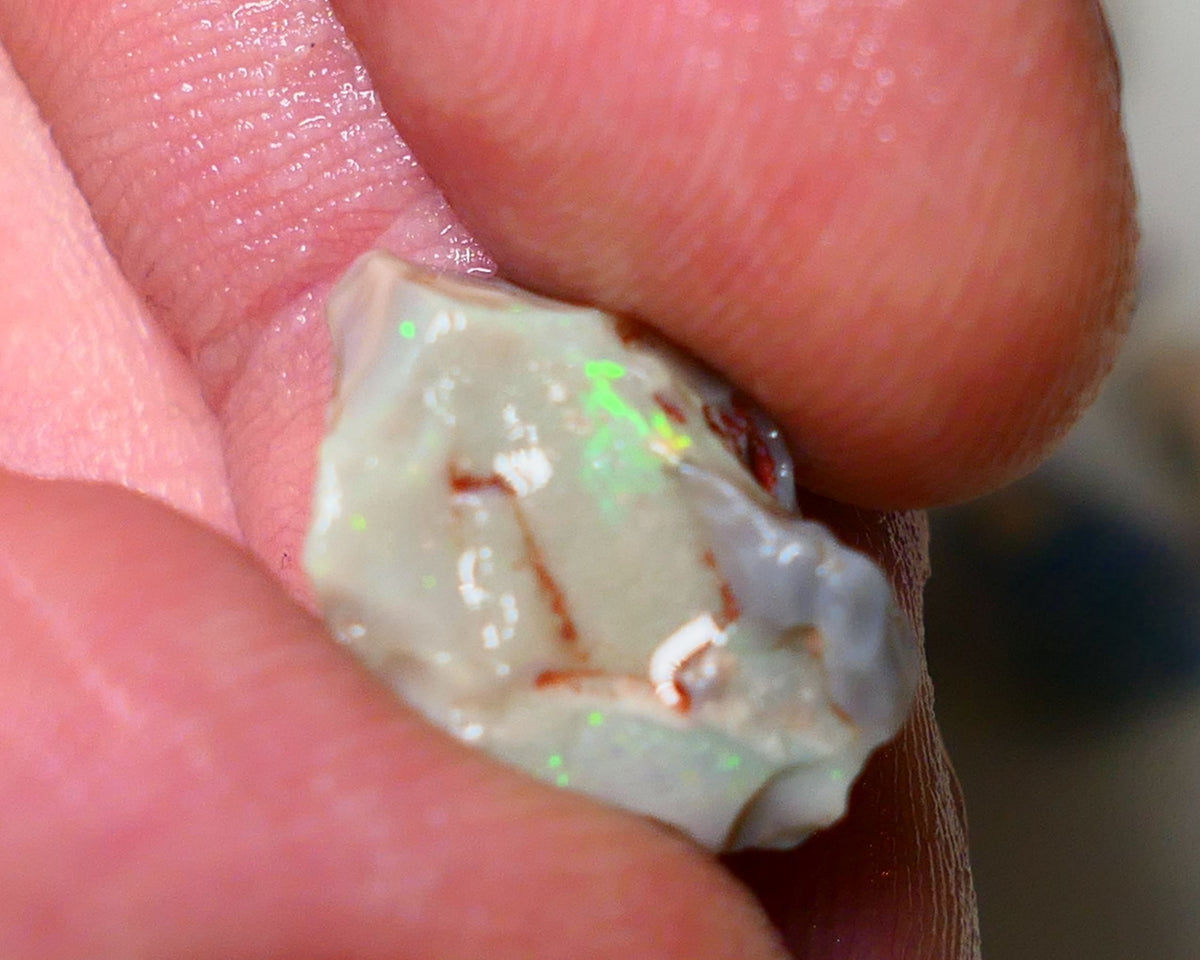 Lightning Ridge Rough Opal pair 14cts Gamble Dark Base Seam some Multifires showing 17x13x9mm & 17x15x5mm NS006