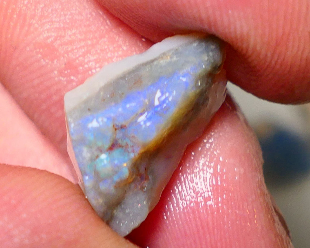 Lightning Ridge Rough Opal 8cts Dark Base Gamble Seam some Blue fires in the bar 20X10X7mm Auction NS005