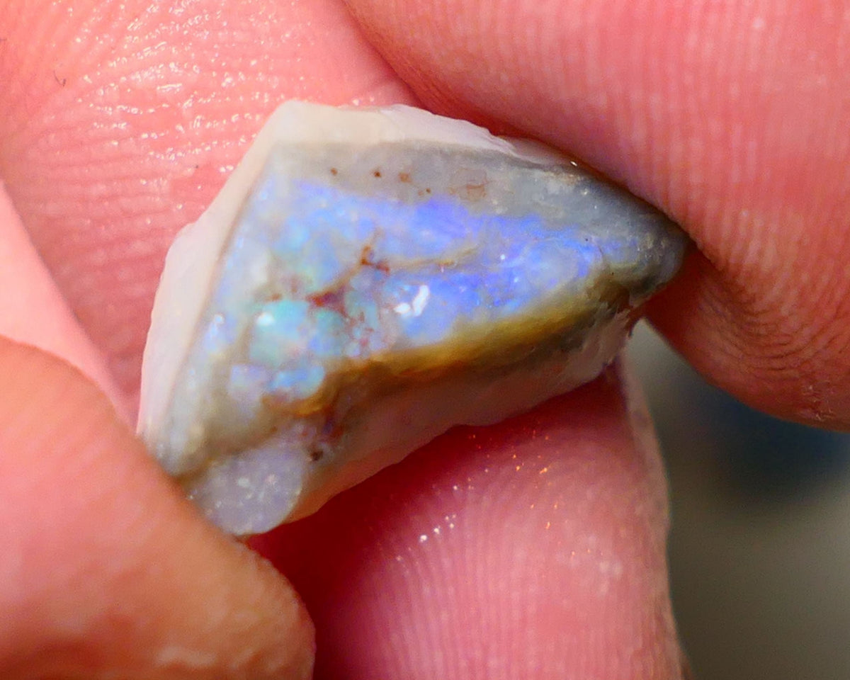 Lightning Ridge Rough Opal 8cts Dark Base Gamble Seam some Blue fires in the bar 20X10X7mm Auction NS005