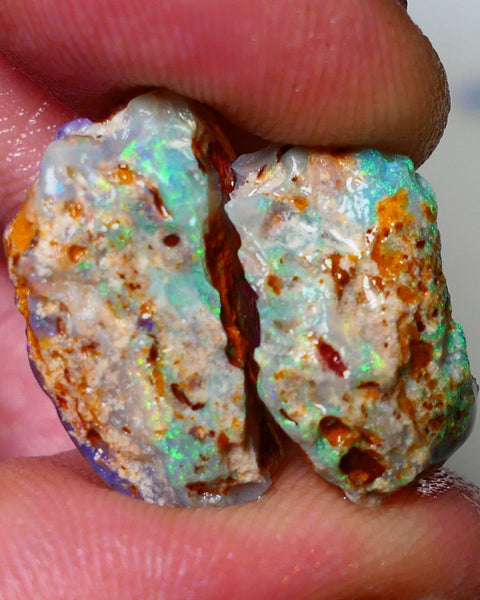 Lightning Ridge 18cts Bright & gorgeous Dark base Crystal Knobby/Opalised fossil Split rough to cut/carve Vibrant Blues and Multicolours 22x13x7mm & 18x10x9mm NSW001