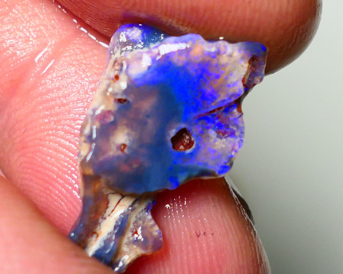 Lightning Ridge Rough Opal 5.5cts Dark Base Seam Gorgeous Vibrant bright blues colours 20x11x5mm NS055