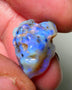 Lightning Ridge Rough Opal 14.50cts Dark Base Gamble Knobby formation Gorgeous blue fires 20x12x12mm Auction NS052